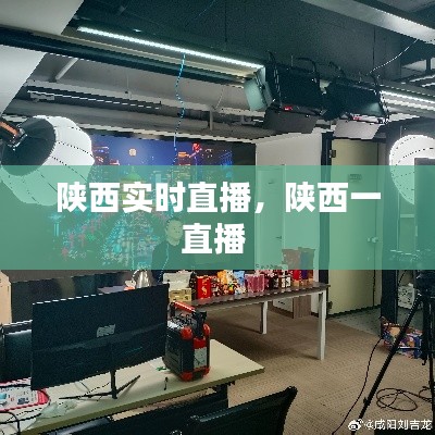 陕西实时直播,陕西一直播