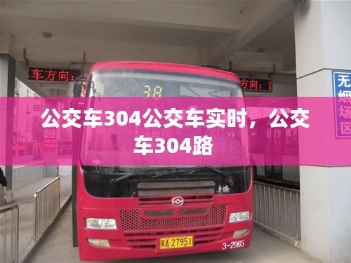 公交车304公交车实时,公交车304路