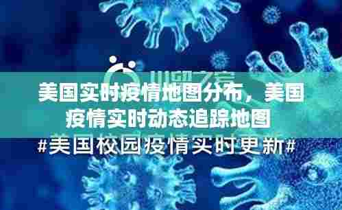 美国实时疫情地图分布,美国疫情实时动态追踪地图