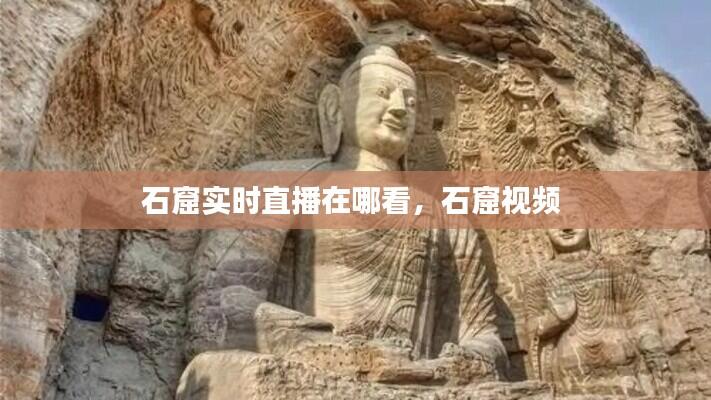 石窟实时直播在哪看,石窟视频