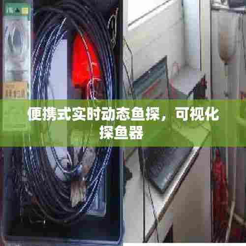 便携式实时动态鱼探，可视化探鱼器 
