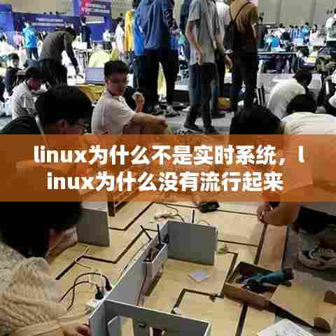 linux为什么不是实时系统,linux为什么没有流行起来