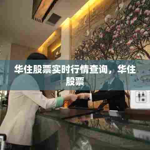 华住股票实时行情查询,华住 股票