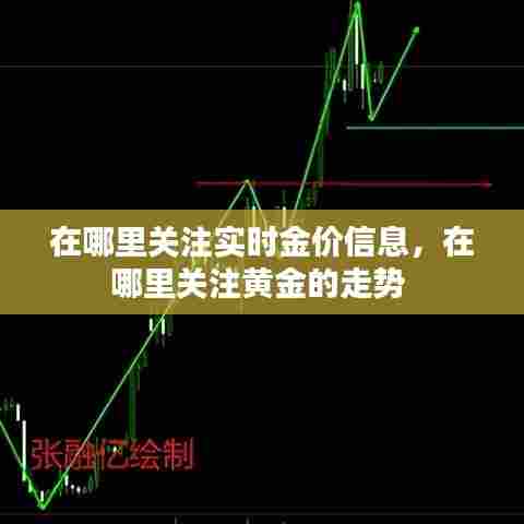 在哪里关注实时金价信息,在哪里关注黄金的走势
