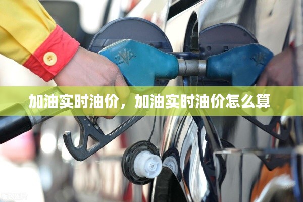 加油实时油价,加油实时油价怎么算