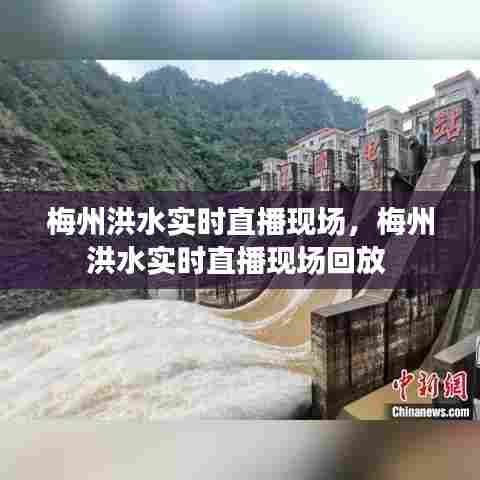 梅州洪水实时直播现场，梅州洪水实时直播现场回放 