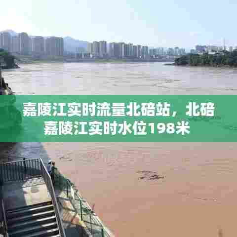 嘉陵江实时流量北碚站，北碚嘉陵江实时水位198米 