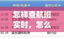 怎样查航班实时,怎么查航班实时