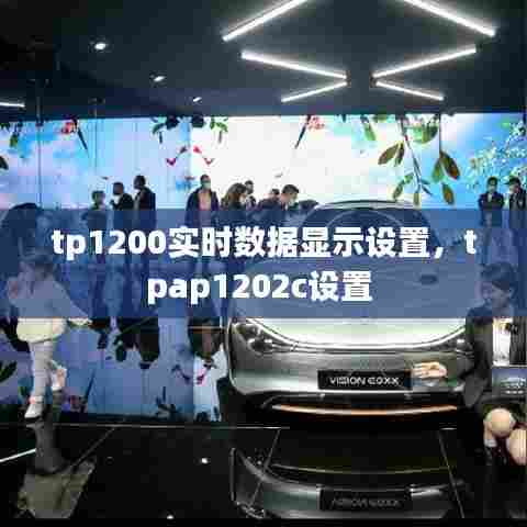 tp1200实时数据显示设置,tpap1202c设置