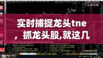 实时捕捉龙头tne,抓龙头股,就这几招