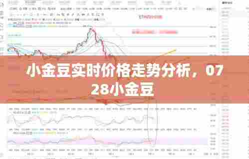 小金豆实时价格走势分析，0728小金豆 