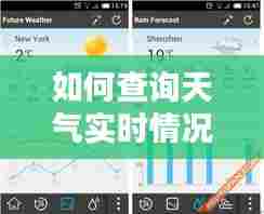 如何查询天气实时情况表，查看详细天气 