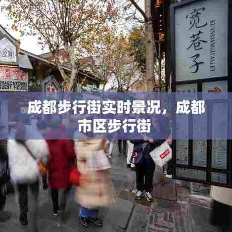 成都步行街实时景况,成都市区步行街