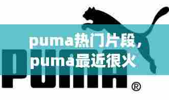 puma热门片段,puma最近很火