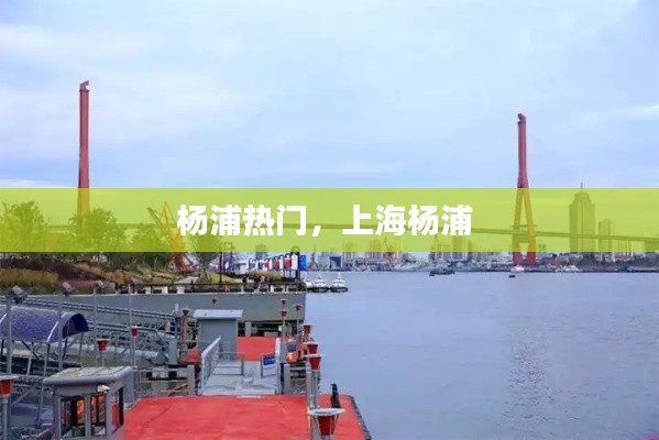 杨浦热门,上海杨浦