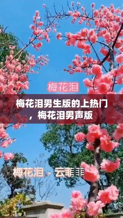 梅花泪男生版的上热门,梅花泪男声版