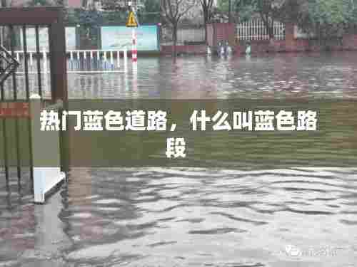 热门蓝色道路,什么叫蓝色路段