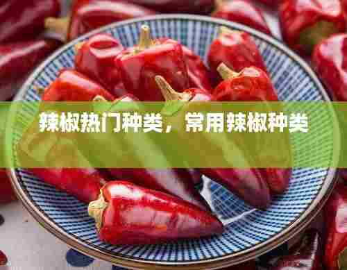 辣椒热门种类,常用辣椒种类