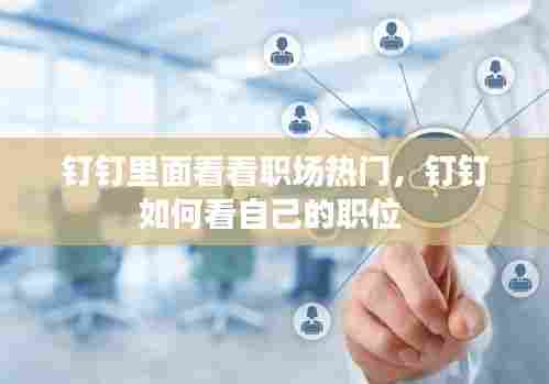钉钉里面看看职场热门,钉钉如何看自己的职位