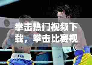 拳击热门视频下载，拳击比赛视频下载 