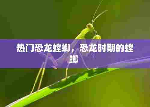 热门恐龙螳螂,恐龙时期的螳螂