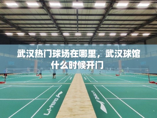 武汉热门球场在哪里,武汉球馆什么时候开门