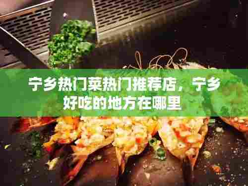 宁乡热门菜热门推荐店，宁乡好吃的地方在哪里 