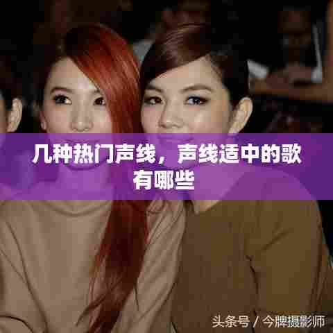 几种热门声线,声线适中的歌有哪些