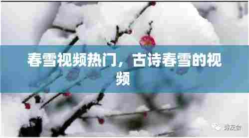 春雪视频热门,古诗春雪的视频