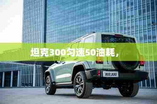 坦克300匀速50油耗,