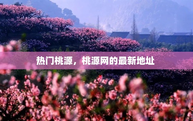 热门桃源,桃源网的最新地址