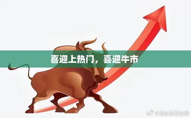 喜迎上热门,喜迎牛市