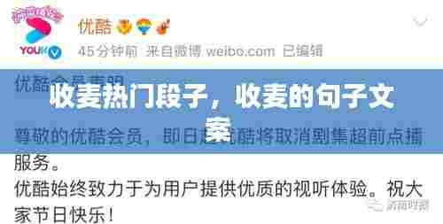 收麦热门段子,收麦的句子文案