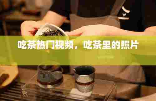 吃茶热门视频,吃茶里的照片