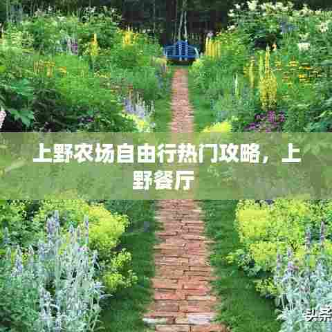 上野农场自由行热门攻略,上野餐厅