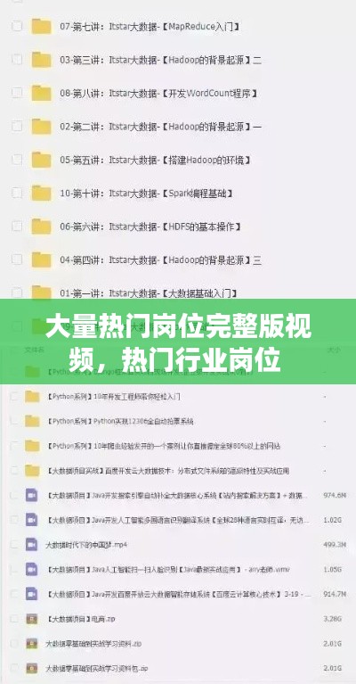 大量热门岗位完整版视频,热门行业岗位