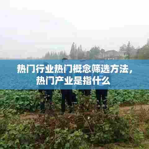 热门行业热门概念筛选方法,热门产业是指什么