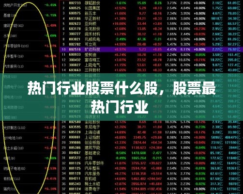 热门行业股票什么股，股票最热门行业 