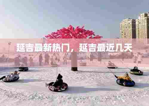 延吉最新热门,延吉最近几天