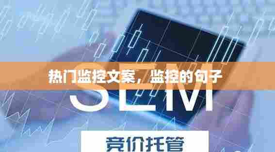 热门监控文案,监控的句子