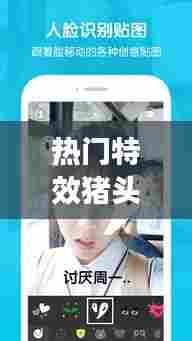 热门特效猪头,猪头特效软件