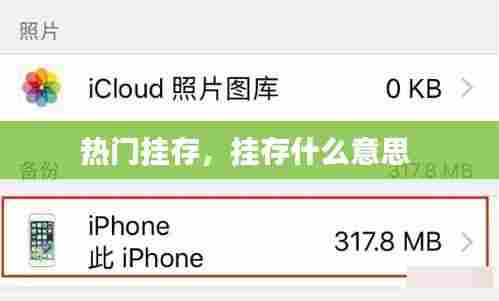 热门挂存,挂存什么意思