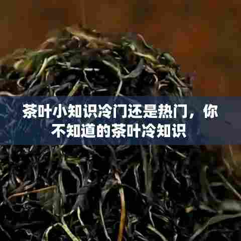 茶叶小知识冷门还是热门,你不知道的茶叶冷知识