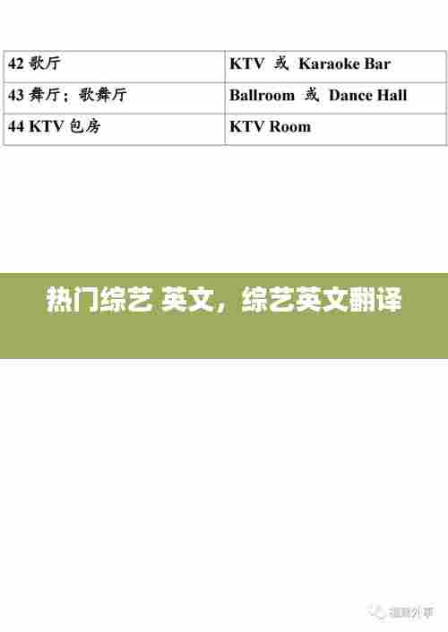 热门综艺 英文,综艺英文翻译