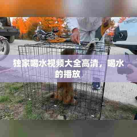 独家喝水视频大全高清，喝水的播放 