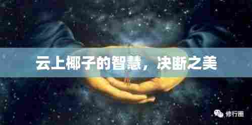 云上椰子的智慧，决断之美