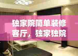 独家院简单装修客厅，独家独院装修 