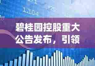 碧桂园控股重大公告发布,引领行业新动向揭秘