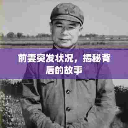 前妻突发状况,揭秘背后的故事