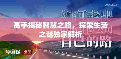 高手揭秘智慧之路,探索生活之谜独家解析